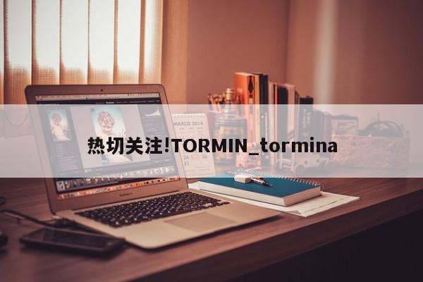 热切关注!TORMIN_tormina